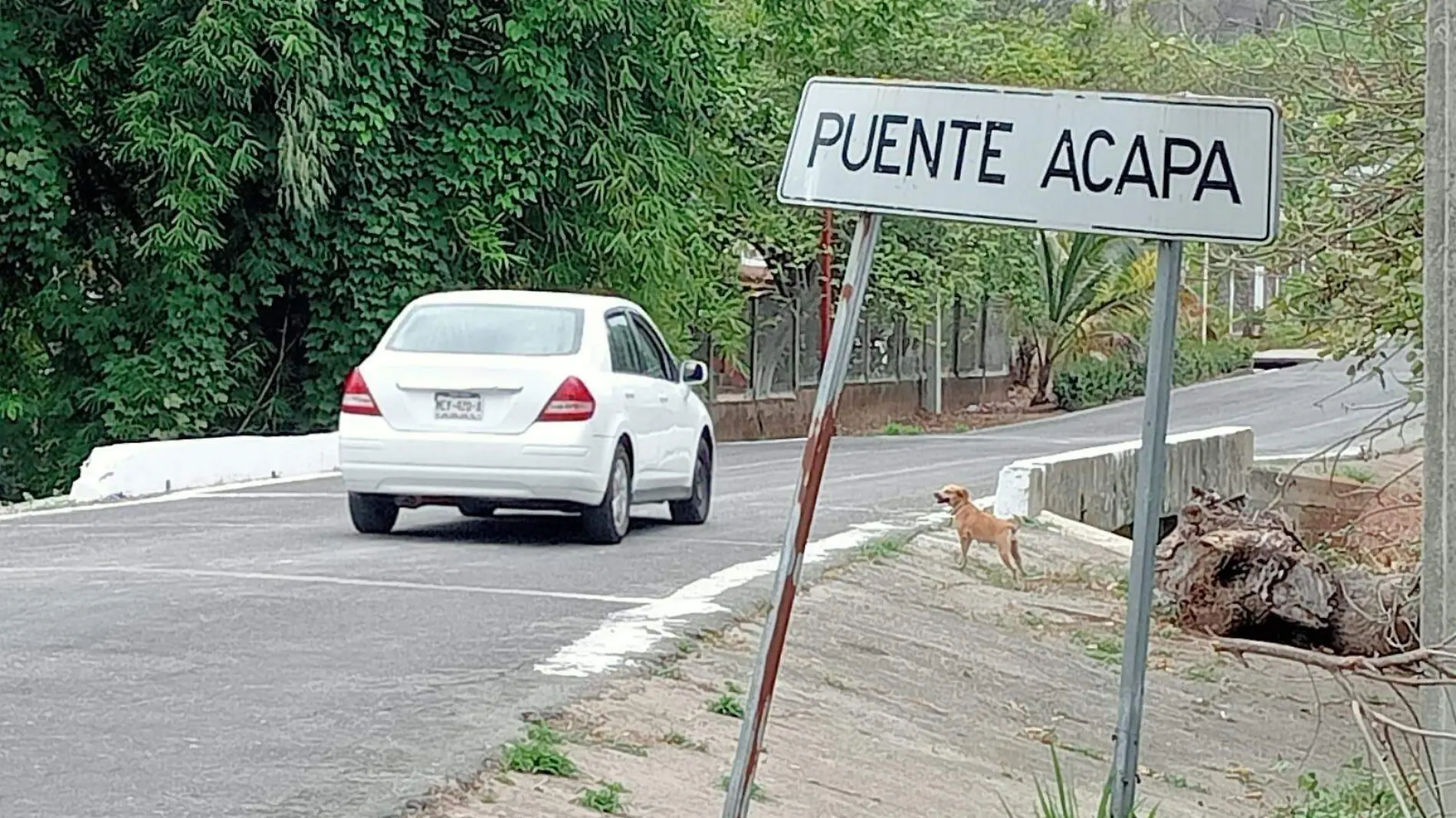 Puente Acapa